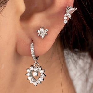 1 Piece Simple Series Fish Copper Silver Color Zircon Women's Stud Earrings h5 Picture2